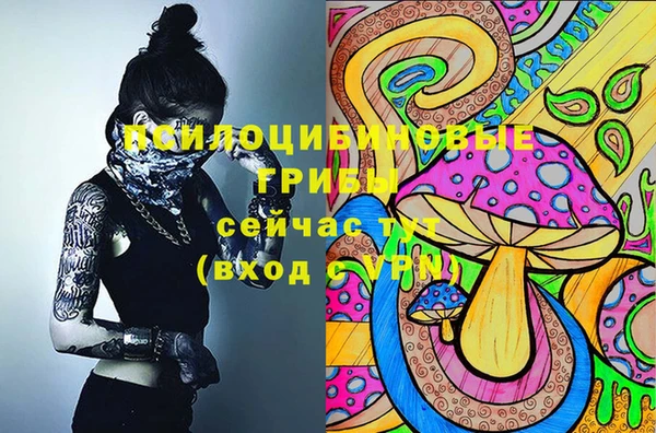 герыч Алзамай