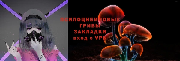 герыч Алексин