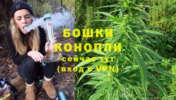 PSILOCYBIN Абаза